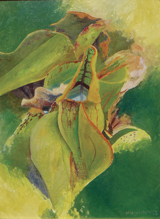 painting of pitcher plants