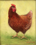 Rhode Island Red hen