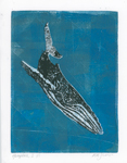 Humpback Whale monotype