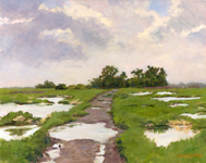 Salt Marsh